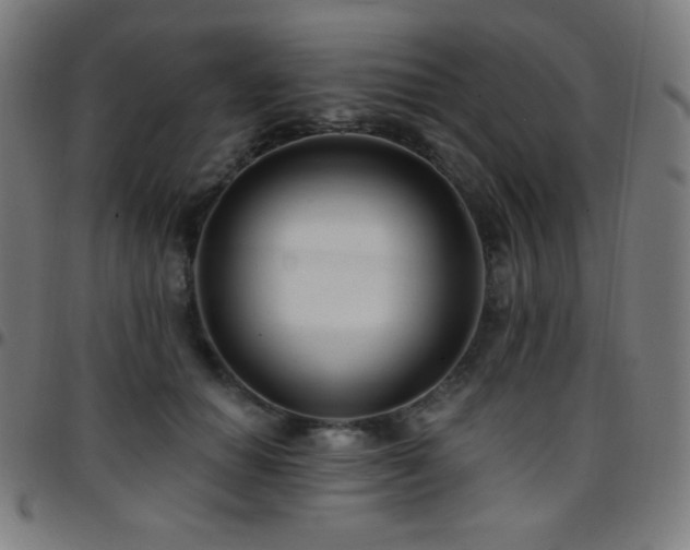 X0000097790654200803071413
