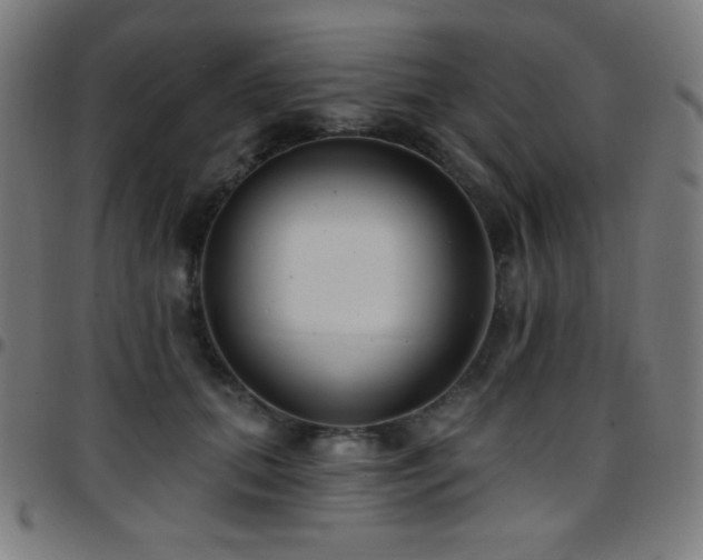 X0000097790655200803071413