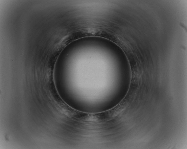 X0000097790656200803071413