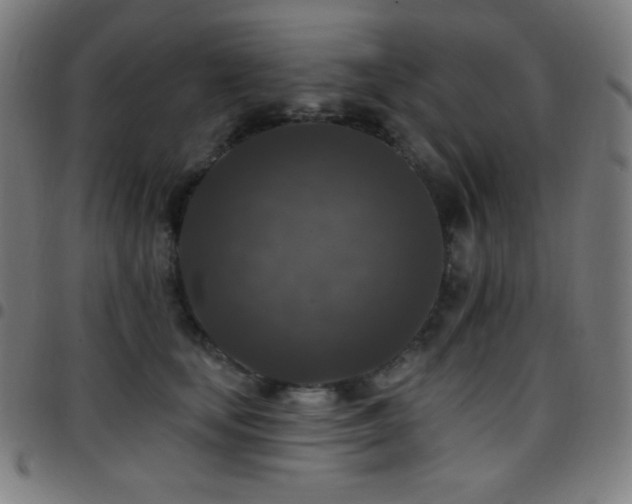 X0000097790659200803071413