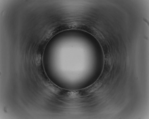 X0000097790660200803071413