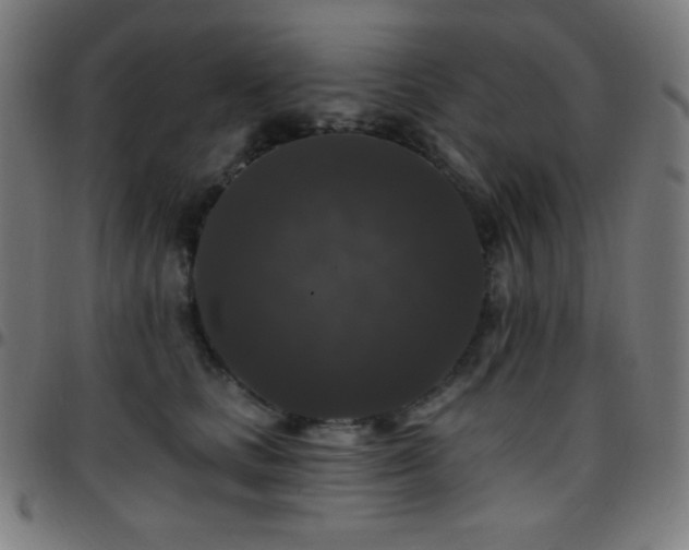 X0000097790661200803071413