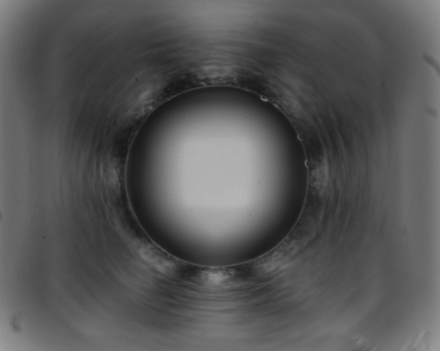X0000097790662200803071413
