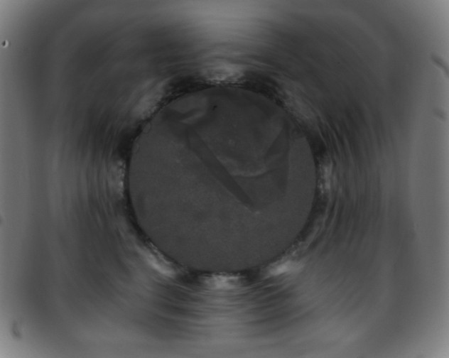 X0000097790664200803071413