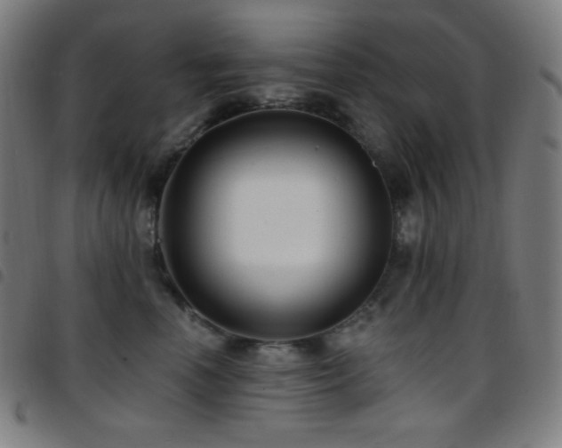 X0000097790666200803071413