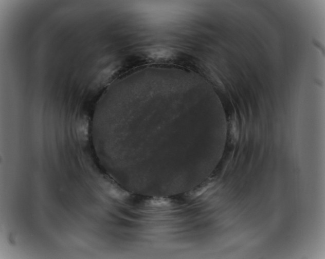 X0000097790668200803071413