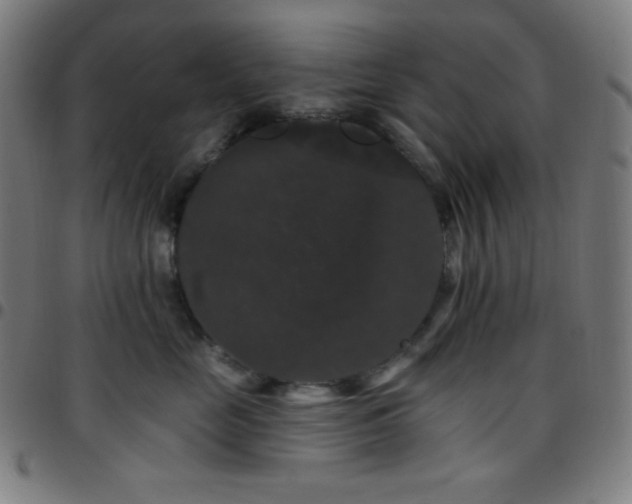 X0000097790669200803071413