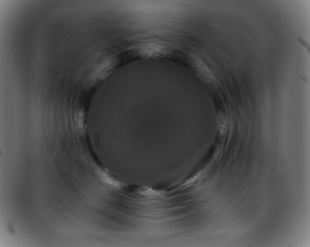 X0000097790670200803071413