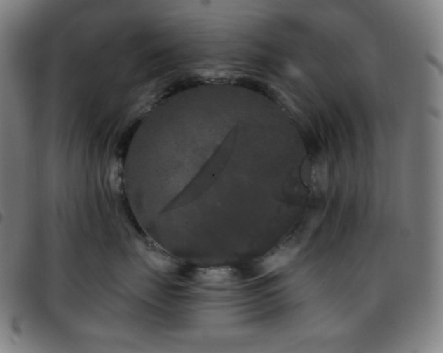 X0000097790671200803071413
