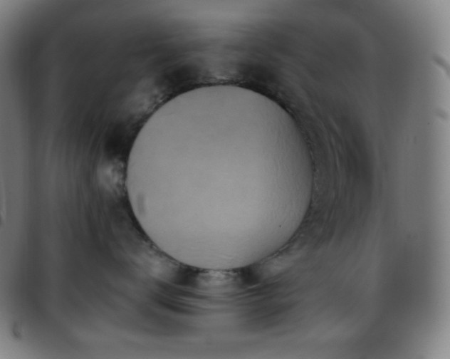 X0000097790672200803071413