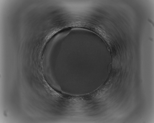 X0000097790673200803071413