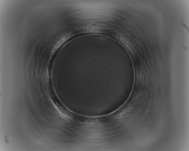 X0000097790674200803071413