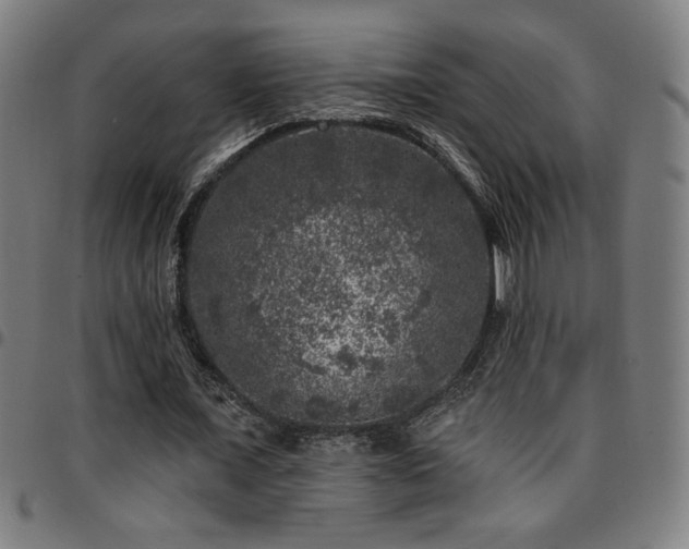 X0000097790675200803071413