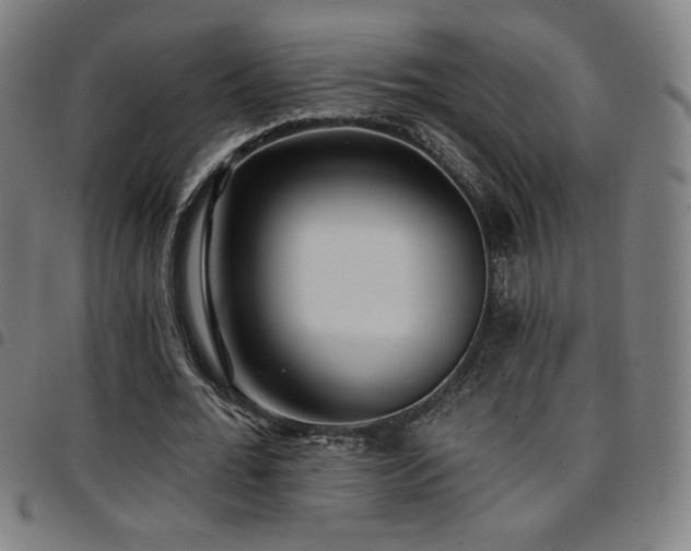 X0000097790676200803071413