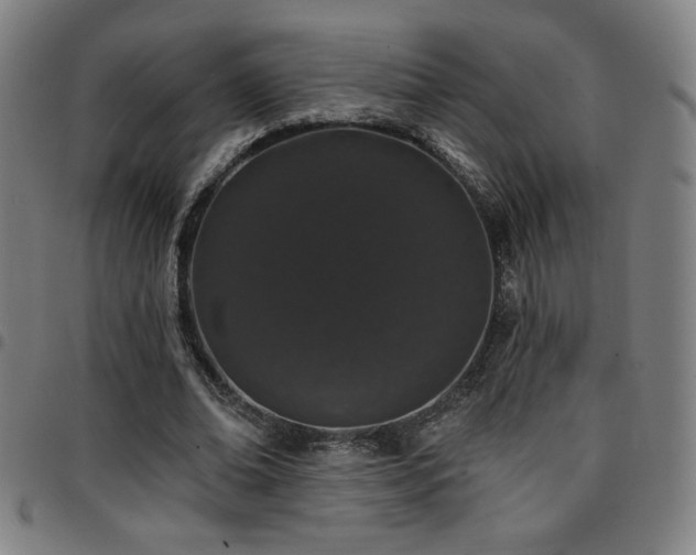 X0000097790678200803071413