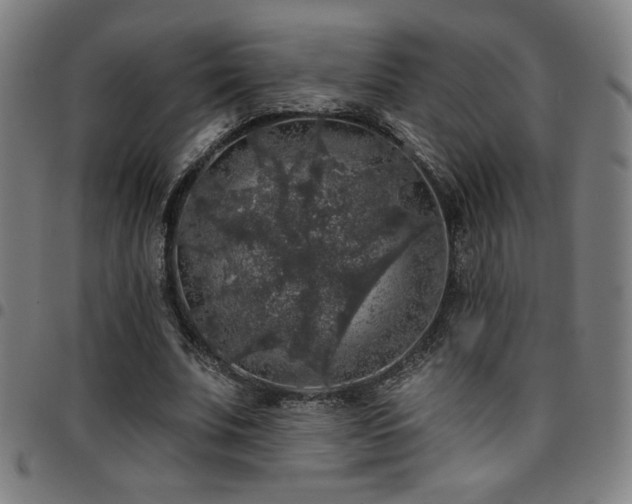 X0000097790679200803071413
