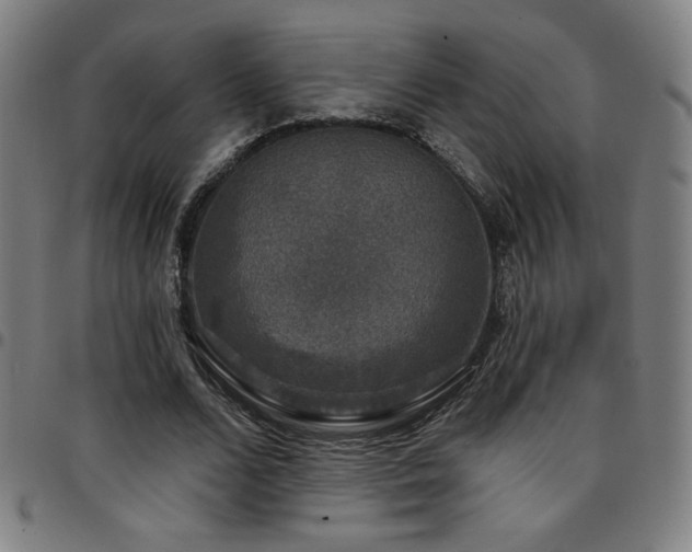 X0000097790680200803071413