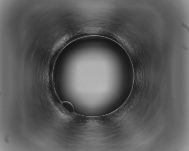 X0000097790682200803071413