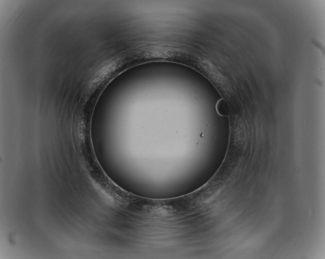 X0000097790683200803071413