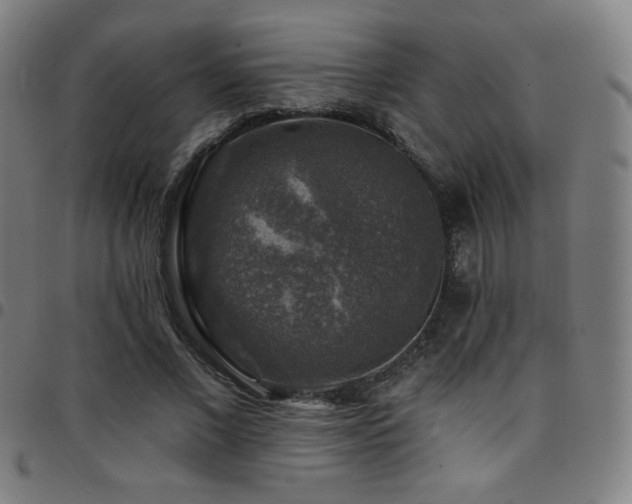 X0000097790685200803071413