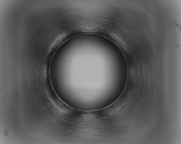 X0000097790686200803071413