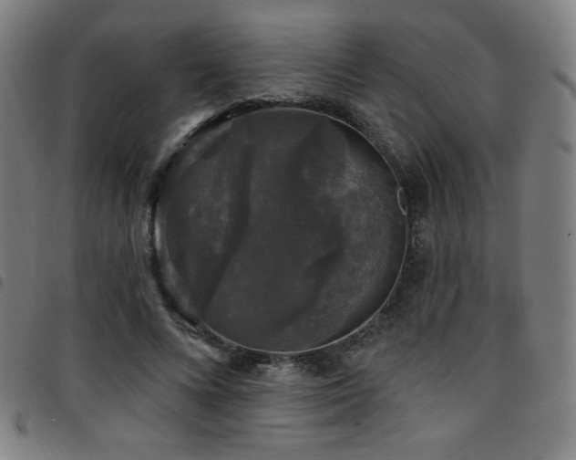 X0000097790688200803071413