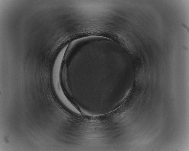 X0000097790689200803071413