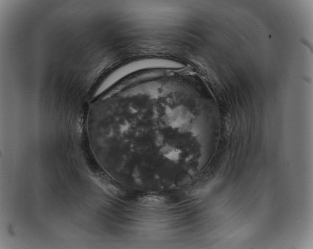 X0000097790691200803071412