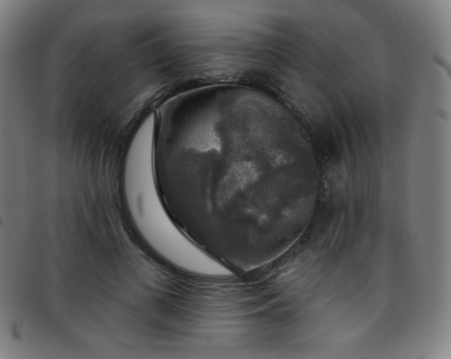 X0000097790693200803071412