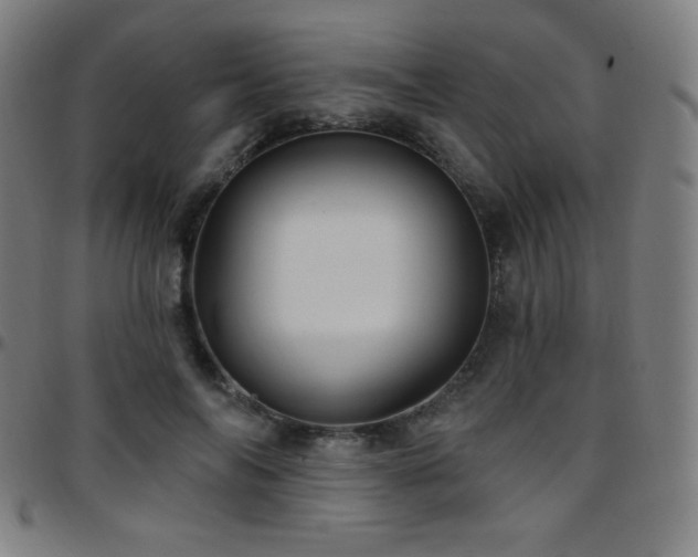 X0000097790694200803071412