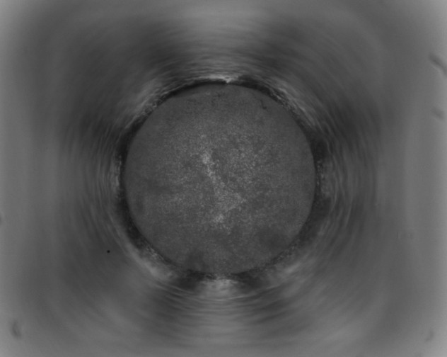 X0000097790695200803071412
