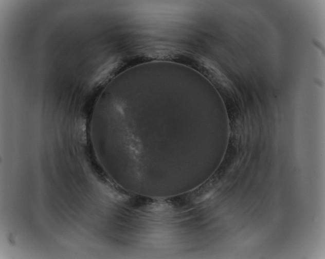 X0000097790696200803071412