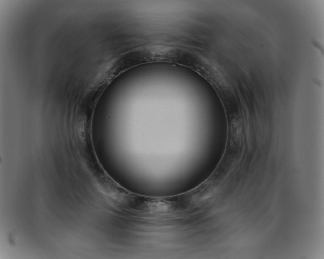 X0000097790698200803071412