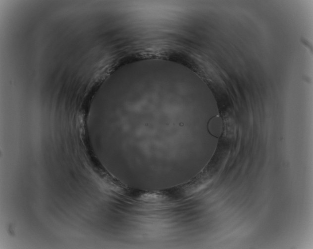 X0000097790699200803071412