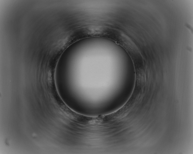 X0000097790700200803071412