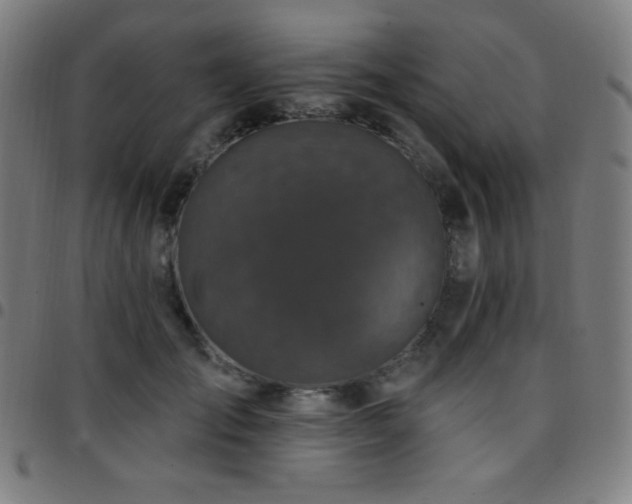 X0000097790701200803071412