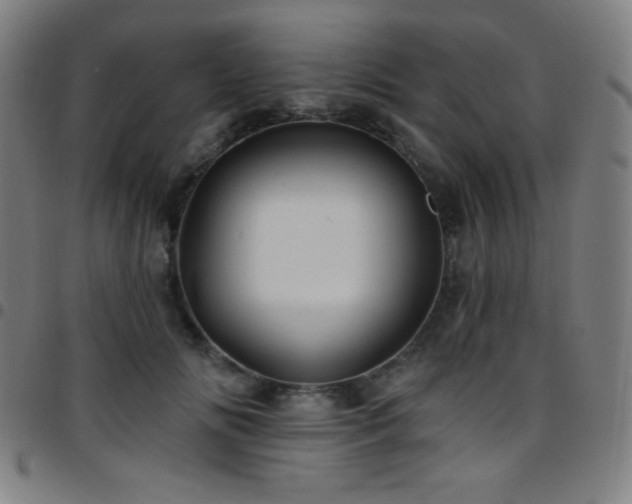 X0000097790702200803071412