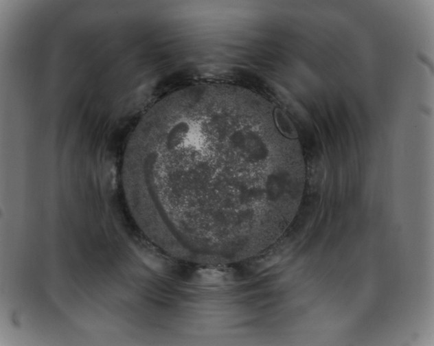 X0000097790703200803071412