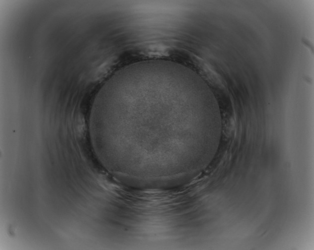 X0000097790704200803071412