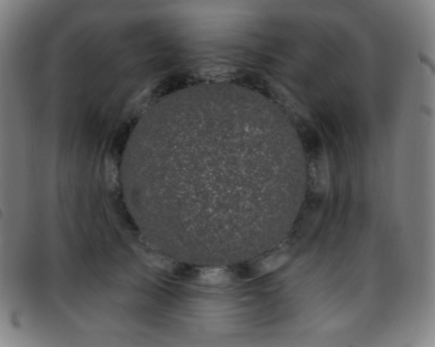X0000097790705200803071412