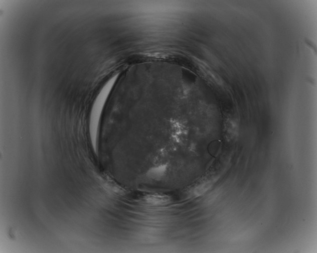 X0000097790707200803071412
