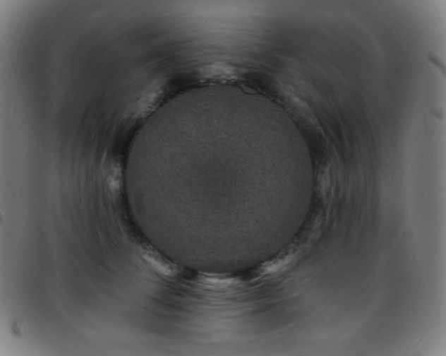 X0000097790708200803071412