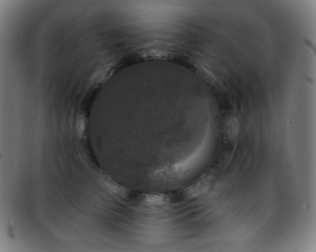 X0000097790709200803071412