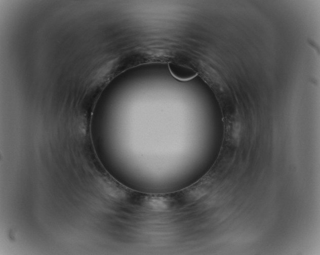 X0000097790710200803071412