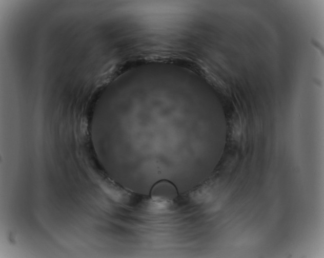 X0000097790711200803071412