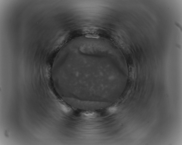 X0000097790712200803071412
