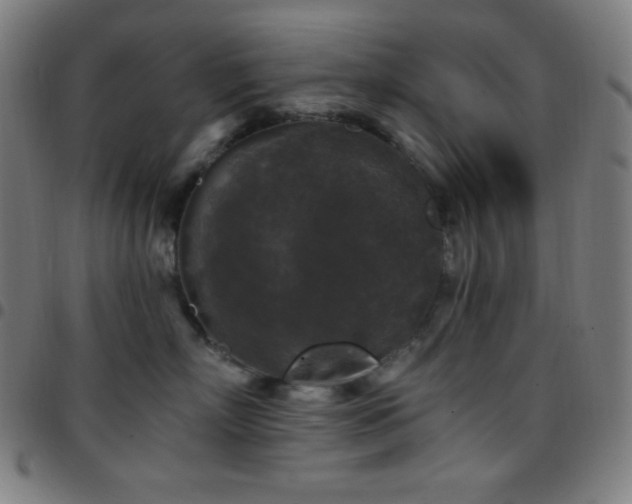 X0000097790718200803071412
