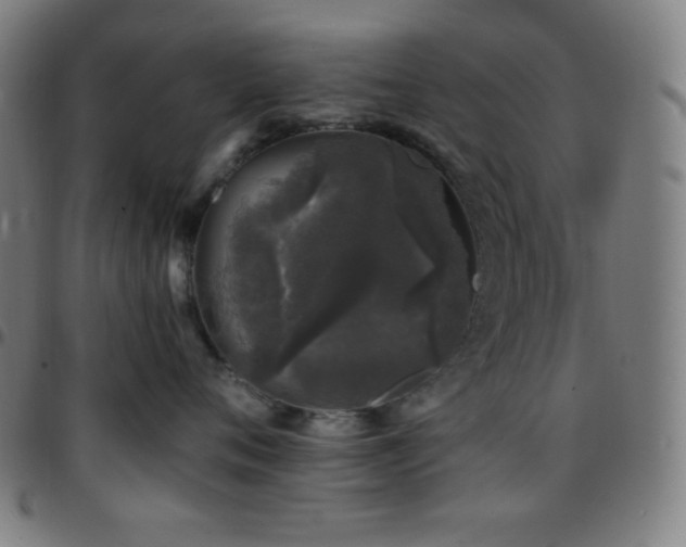 X0000097790720200803071412