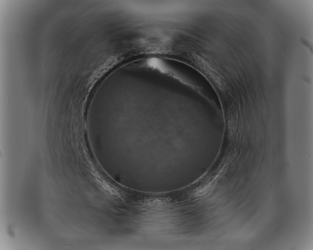 X0000097790721200803071411