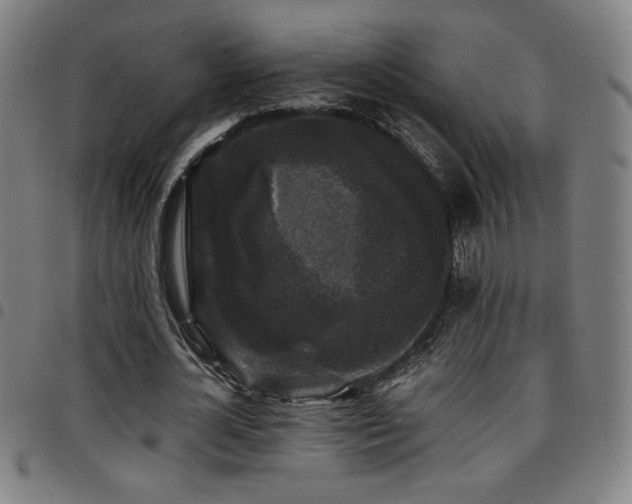 X0000097790724200803071411